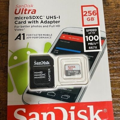SanDisk 256 GB