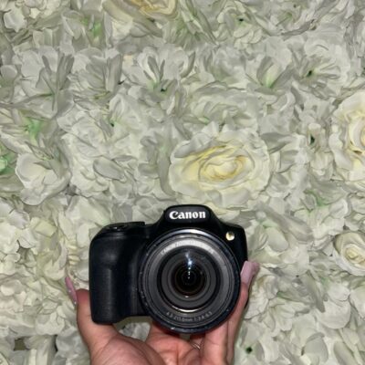 Canon PowerShot SX530 HS *READ DESCRIPTION*