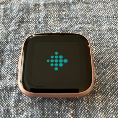 (Stuck on Boot-up Screen) Fitbit Versa 2