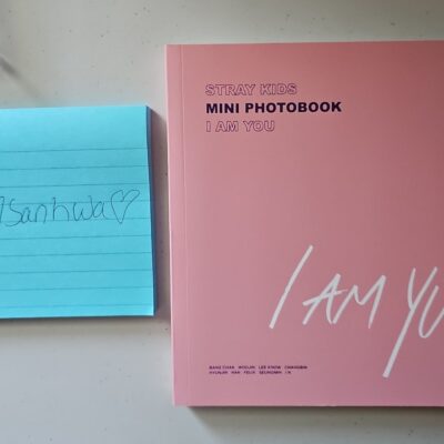 Stray Kids Skz I am You Mini Photobook